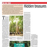 Newspaper-Edition-17-August-2015-zoom-19