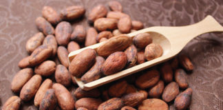 COCOBOD eyes Chinese market COCOBOD explores Chinese market