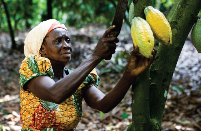 COCOBOD to sell $556m of debt and end subsidies