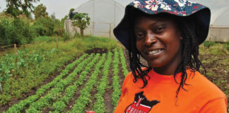 Planting for Food and Jobs targets 5000,000 farmers Planting for Food and Jobs targets 5000,000 farmers