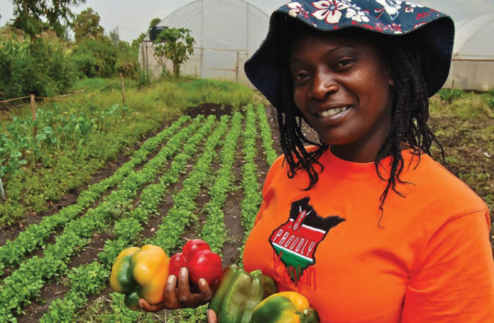 Planting for Food and Jobs targets 5000,000 farmers