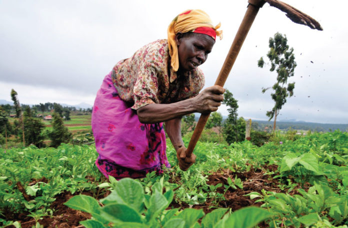 Agric sector declining