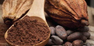 Ghana $600 Million Cocoa Plan Prioritizes Processing, Trees Ghana Cocoa