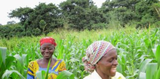 Make provision for agric centres in 2019 budget – Stakeholders