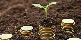 Nigeria: Easyshop Easycook Secures Seed Financing for Fresh Food Supply Chain