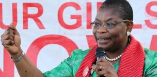 Nigeria election: Oby Ezekwesili to stand for president