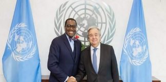 UN Secretary General, AfDB President agree to strengthen ties and push development agenda in Africa