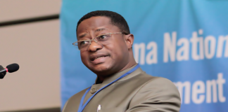 Minority raises concerns over govt’s renegotiation of AGM petroleum deal