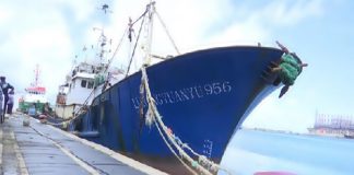 Illegal Chinese fishing vessel fined over $1m