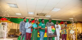 Tema Metropolitan Assembly & SyPhics Studios launch ‘Year of Return’ AFROFEST 2019