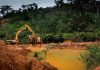 Ghana loses 8,900 hectares of forest reserves to illegal mining – Lands Ministry
