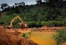 Ghana loses 8,900 hectares of forest reserves to illegal mining – Lands Ministry