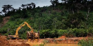 Bring to book illegal mining financiers – Chamber of Mines