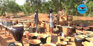How the flower pot business is fast becoming a lucrative venture