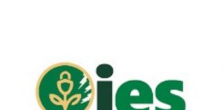 $134 million GCGP judgement debt has damaged Ghana’s reputation – IES