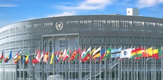 ECA supports leveraging AfCFTA to drive digital trade in Africa