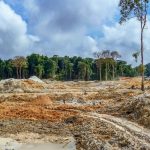 Illegal mining has negatively affected cocoa farms at Teberebie community