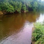 River Brim has turned a goldish-yellow color due to chemical pollutants from galamsey activities like mercury, lead, and cyanide.