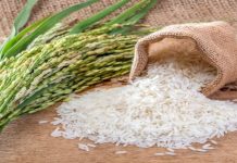 Missing rice scandal: Peasant farmers want recovered funds invested in irrigation