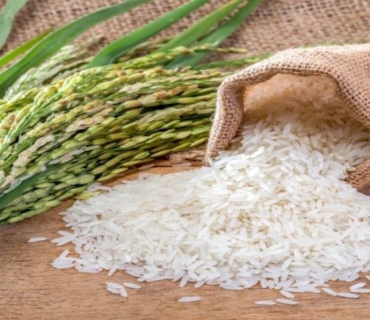 Missing rice scandal: Peasant farmers want recovered funds invested in irrigation