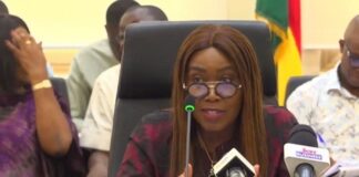 Govt to pay GH¢95m judgment debt to West Blue over termination of contract