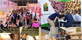Food Expo PRO returns in August with Hong Kong International Tea Fair