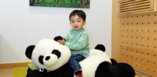 Shama Hub Metro South Hong Kong Unveils Characteristic Panda-Themed Rooms This Spring