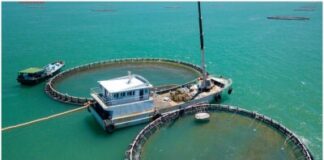 Hainan fish on global tables: testament to successful Hainan Fresh Products initiative