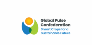 Pulses 25: the most pivotal event in the Global Pulse industry to be held in Singapore on 20-22 May 2025