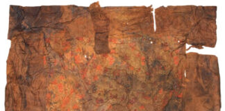 Hunan Museum Announces Latest Findings on the Mawangdui Han Tomb