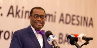 “A mission, not a job!” — African Development Bank President reflects on a decade of leadership