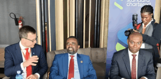 BoG Governor courts private capital