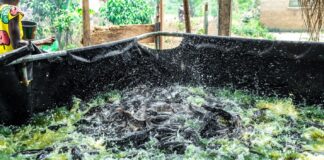 KIC, Mastercard Foundation boosts rural women’s livelihood via aquaculture