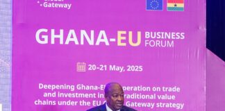 Mahama: Value chain investment key to resilient, inclusive growth