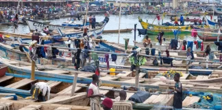 Fisheries Ministry closes sea for Fishing