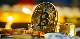 Crypto Chronicles: Africa’s Digital Gold Rush