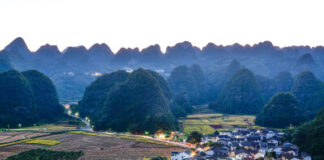 Themed Forum of “Mountain Biodiversity and Our Life” to Kick off “Guizhou Example” Empowering Global Mountain Eco-treatment