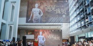 “Eternal City” Pompeii Exhibition Opens in Hunan, Marking New Sino-Italian Cultural Exchange