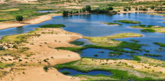 The 10th Kubuqi International Desert Forum to Open: Ordos Becomes a Beacon of Green Hope for the World
