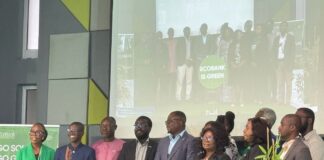 Ecobank unveils climate finance drive to accelerate solar adoption
