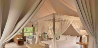 Dusit brings its ‘Tree of Life’ sustainability vision to Chiang Rai with management of Tantawan Tented Camp