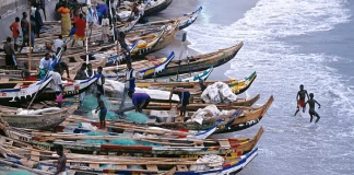 Fisheries law to safeguard US$425M seafood exports