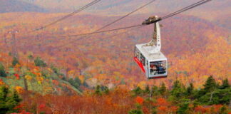 Autumn Foliage Journey in Tohoku, Japan: Must-See Scenic Spots to Visit in October