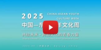 2025 China-ASEAN Youth Culture Week Successfully Held