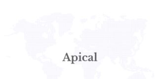Apical Joins Industry Leaders to Launch Aceh Sustainable Palm Oil Working Group