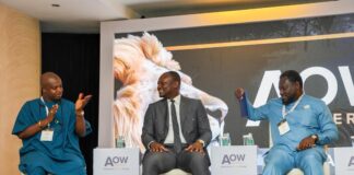 AOW 2025: NPA CEO Calls for Improved Infrastructure to Boost Fuel Trade
