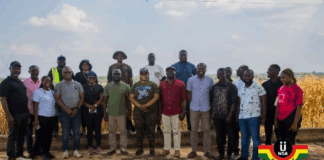 NSA board inspects Ejura Farm as part of nationwide agricultural project tour