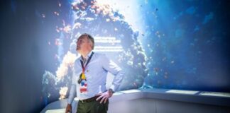 Expo 2025 Osaka draws to a close today: Koelnmesse welcomed three million visitors to the award-winning German Pavilion