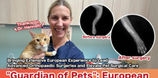 “Veterinary Orthopedic Guardian”: European Veterinary Surgeon Dr. Hannah Partners With VEC Hong Kong