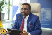 BoG signals shift from fintech expansion to system integration across Africa